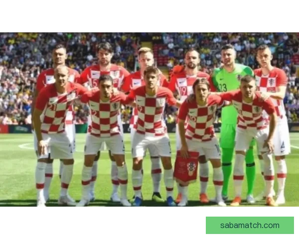 世界杯竞猜赔率全解析：各热门球队胜率与潜在黑马对比分析